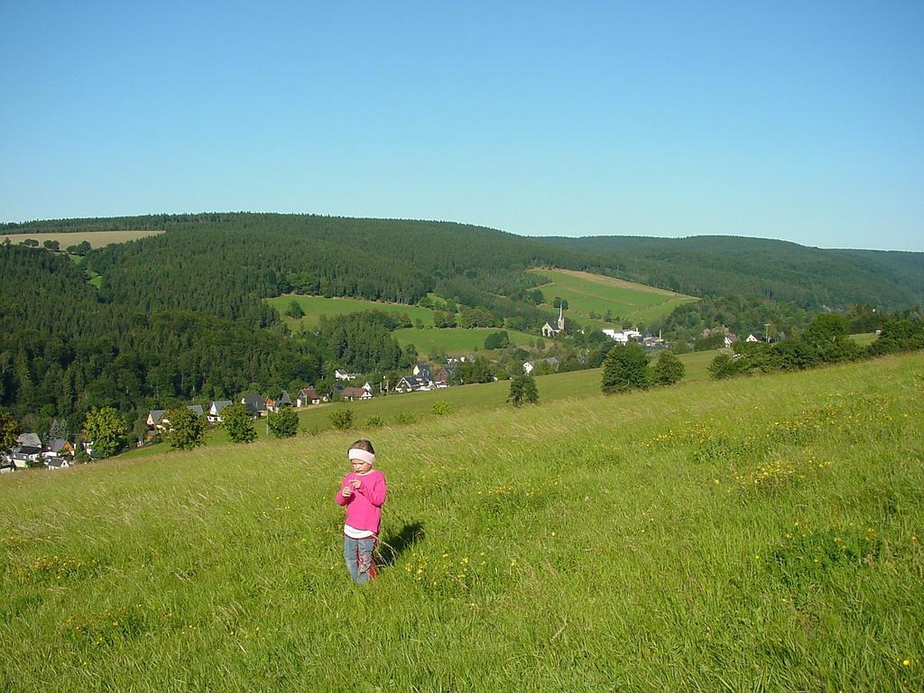 Ferienwohnung Erzhuette Rechenberg-Bienenmühle Buitenkant foto