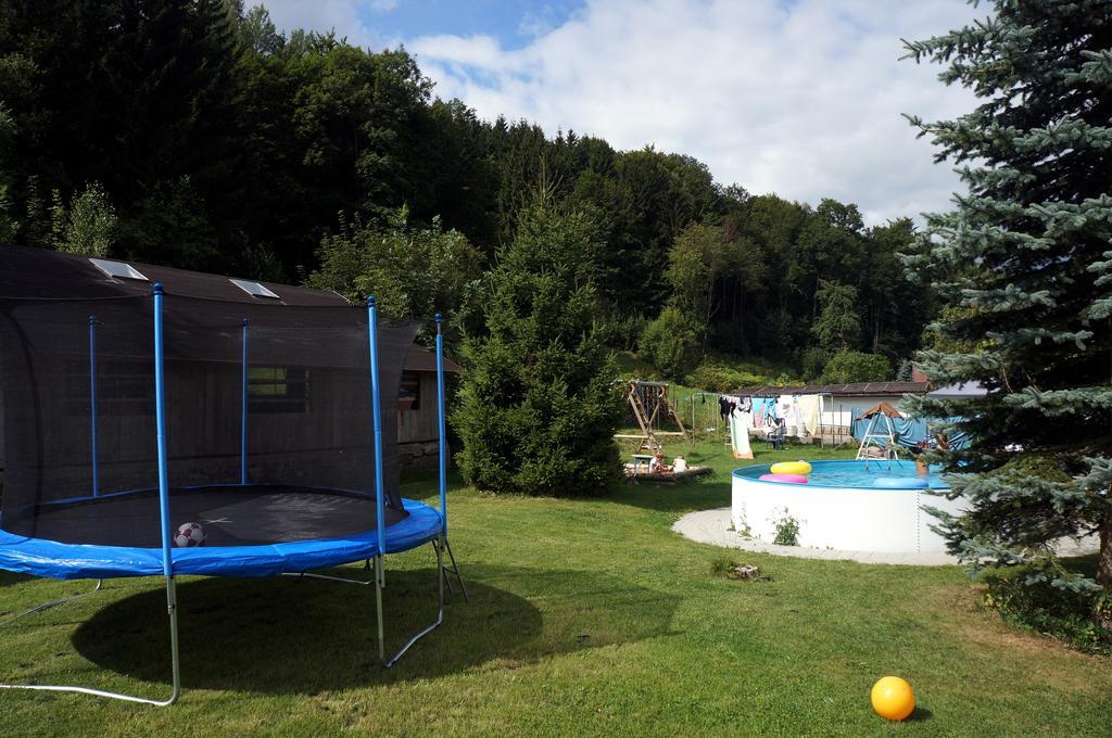 Ferienwohnung Erzhuette Rechenberg-Bienenmühle Kamer foto