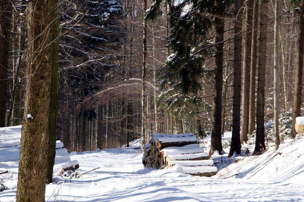 Ferienwohnung Erzhuette Rechenberg-Bienenmühle Buitenkant foto